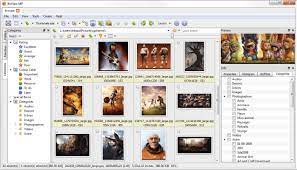 XnView 2.51.2 With Crack [Windows + Mac] License Key Latest 2022 Free Download
