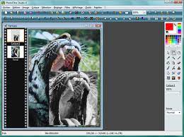 PhotoFiltre Studio X 11.5.4 Crack + Torrent Key Latest Version 